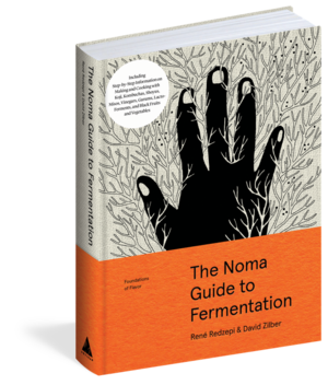 the-noma-guide-to-fermentation.png