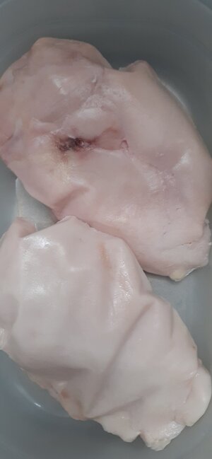 20230318_110011.jpg